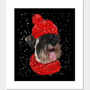 Standard Poodles Wearing Red Hat And Scarf Christmas Posters and Art